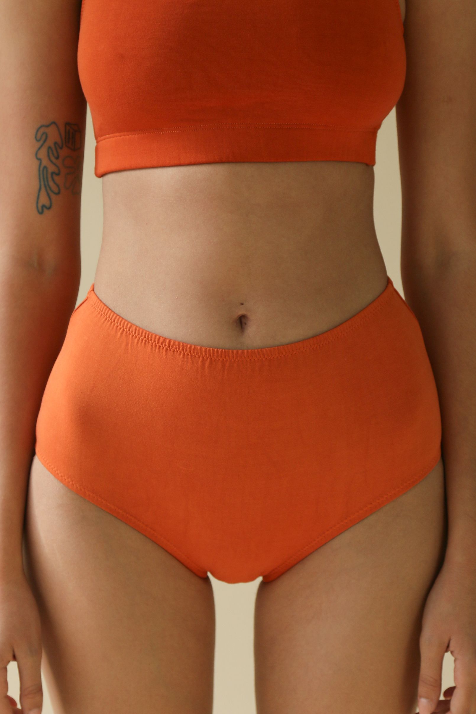 Sample Lena High Waist Undies